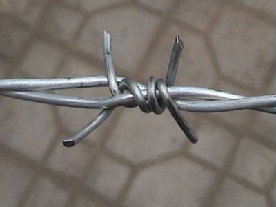 galvanized barbed wire (traditional twist)