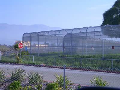 A commercial security fence of high height and small mesh size is installed between commercial areas and highways.