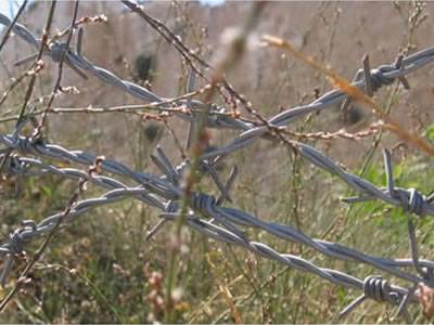 Barbed Wire Fence