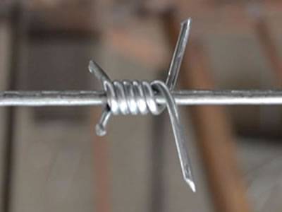 A detail of galvanized single twist barbed wire.