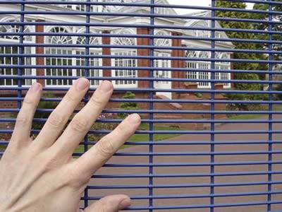 A hand on a welded wire fence; the back of the fence is a white house.