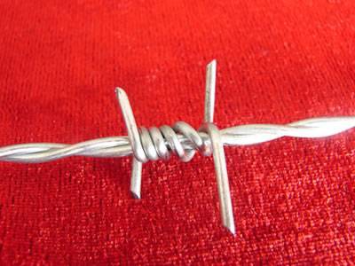 Double twist barbed wire with 4 points is placed on a red cloth.