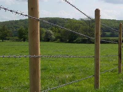 Four lines of barbed wires are installed with wooden posts for farm fencing.