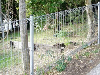 A galvanized roll top fence is installed between the forest and the road.