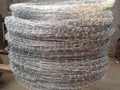 Many coils of galvanized concertina barbed wire with shiny surface are placed together.