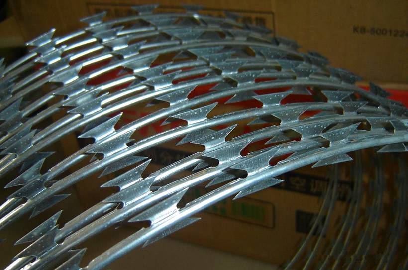 13 rings of galvanized razor wire with sharp blade and shiny surface.