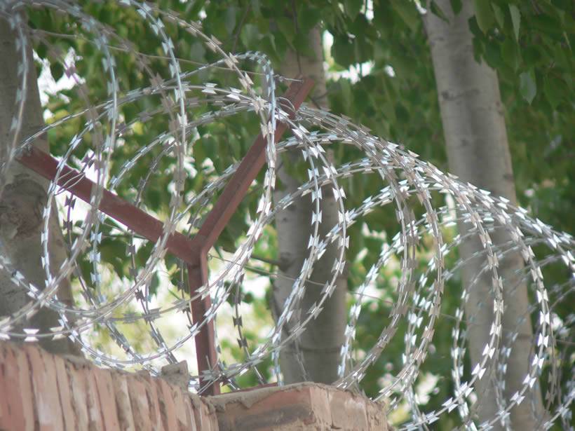 Galvanized razor wire is installed on Y shaped post on wall.