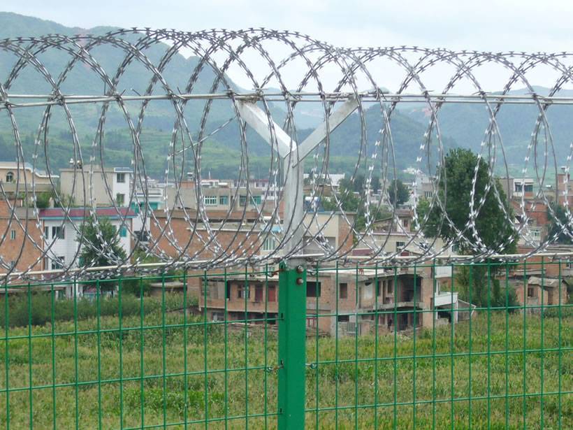 Galvanized razor wire is installed on green PVC coated welded mesh fence. And near the fence, there is a village.