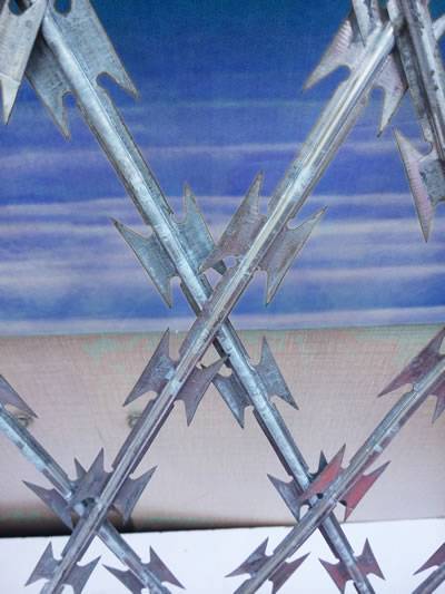Galvanized welded razor wire mesh with diamond mesh hole and sharp razor.