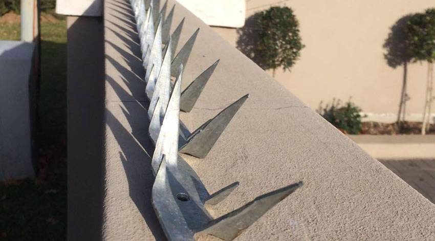 Wall spikes are installed at the top of wall.