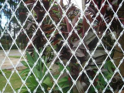 Welded razor wire fence with diamond mesh opening for plant fencing.